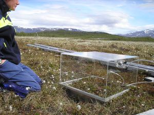 Measuring methane emissions from tundra